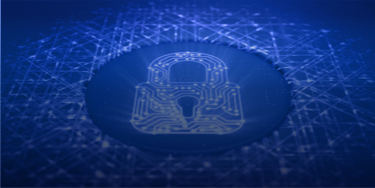 cyber